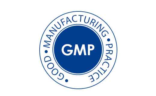 GMP - Good Manifacturing Practice